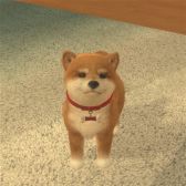 画像ギャラリー No.006のサムネイル画像 / 「with My DOG - 犬とくらそう -」がiOS向けに配信開始。子犬とのふれ合いはもちろん,AR撮影機能で写真や動画も楽しめる育成SLG
