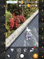 画像ギャラリー No.009のサムネイル画像 / 「with My DOG - 犬とくらそう -」がiOS向けに配信開始。子犬とのふれ合いはもちろん,AR撮影機能で写真や動画も楽しめる育成SLG