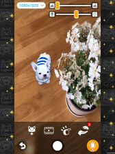 画像ギャラリー No.010のサムネイル画像 / 「with My DOG - 犬とくらそう -」がiOS向けに配信開始。子犬とのふれ合いはもちろん,AR撮影機能で写真や動画も楽しめる育成SLG