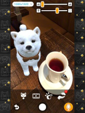 画像ギャラリー No.003のサムネイル画像 / 「with My DOG - 犬とくらそう -」&「with My CAT - 猫とくらそう -」累計40万ダウンロード突破