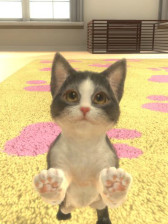 画像ギャラリー No.007のサムネイル画像 / 「with My DOG - 犬とくらそう -」&「with My CAT - 猫とくらそう -」累計40万ダウンロード突破