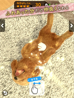 with My DOG - 犬とくらそう -