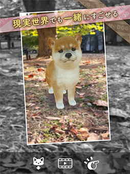with My DOG - 犬とくらそう -