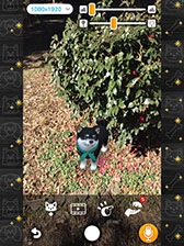 画像ギャラリー No.002のサムネイル画像 / 「with My DOG - 犬とくらそう -」がAndroid向けにもサービス開始。5000円分のAmazonギフトコードが抽選で当たるキャンペーンも実施