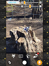 画像ギャラリー No.003のサムネイル画像 / 「with My DOG - 犬とくらそう -」がAndroid向けにもサービス開始。5000円分のAmazonギフトコードが抽選で当たるキャンペーンも実施