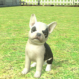 画像ギャラリー No.005のサムネイル画像 / 「with My DOG - 犬とくらそう -」がAndroid向けにもサービス開始。5000円分のAmazonギフトコードが抽選で当たるキャンペーンも実施