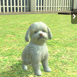 画像ギャラリー No.006のサムネイル画像 / 「with My DOG - 犬とくらそう -」がAndroid向けにもサービス開始。5000円分のAmazonギフトコードが抽選で当たるキャンペーンも実施