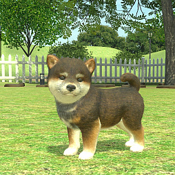 画像ギャラリー No.007のサムネイル画像 / 「with My DOG - 犬とくらそう -」がAndroid向けにもサービス開始。5000円分のAmazonギフトコードが抽選で当たるキャンペーンも実施