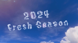 画像ギャラリー No.003のサムネイル画像 / 「スプラトゥーン3」，新シーズン「2024春 Fresh Season」の映像を公開。新ブキ「24式張替傘・甲」の詳細が明らかに