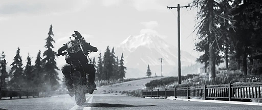 画像ギャラリー No.005のサムネイル画像 / PC版「Days Gone」は5月18日にリリースへ。21:9のウルトラワイドディスプレイに対応,高解像度フォトモードの追加も