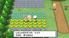 画像ギャラリー No.021のサムネイル画像 / 「ポケモン BD・SP」「ポケモンレジェンズ」最新情報。過去作品のセーブデータがあるともらえる連動特典などが公開に