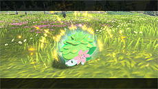 画像ギャラリー No.033のサムネイル画像 / 「ポケモン BD・SP」「ポケモンレジェンズ」最新情報。過去作品のセーブデータがあるともらえる連動特典などが公開に