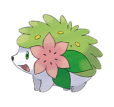 画像ギャラリー No.035のサムネイル画像 / 「ポケモン BD・SP」「ポケモンレジェンズ」最新情報。過去作品のセーブデータがあるともらえる連動特典などが公開に