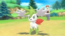 画像ギャラリー No.009のサムネイル画像 / 「ポケットモンスター BD・SP」，幻のポケモン“シェイミ”を仲間にできる“オーキドのてがみ”のプレゼントが本日スタート。期間は3月27日まで