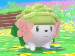 「ポケットモンスター BD・SP」，幻のポケモン“シェイミ”を仲間にできる“オーキドのてがみ”のプレゼントが本日スタート。期間は3月27日まで