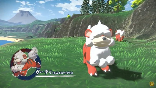 画像ギャラリー No.023のサムネイル画像 / 「Pokémon LEGENDS アルセウス」の最新プロモ映像が公開。アクション性の高い捕獲手段や舞台となるヒスイ地方に適応したポケモンにも注目だ