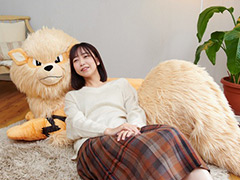添い寝ポーズ，1/2スケールのウインディ，その名も「ぬいぐるみ 添い寝ウインディ」の受注がポケモンセンターオンラインで本日開始