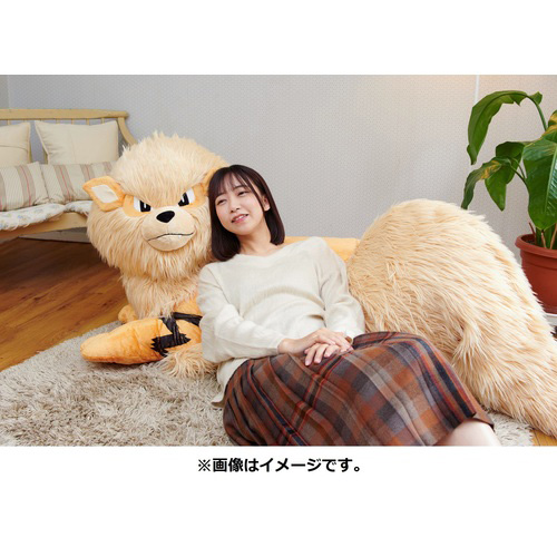 画像ギャラリー No.005のサムネイル画像 / 添い寝ポーズ，1/2スケールのウインディ，その名も「ぬいぐるみ 添い寝ウインディ」の受注がポケモンセンターオンラインで本日開始