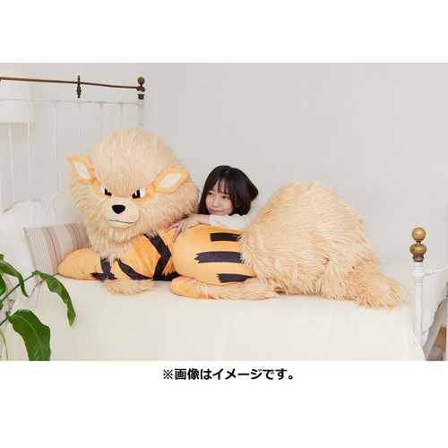 画像ギャラリー No.006のサムネイル画像 / 添い寝ポーズ，1/2スケールのウインディ，その名も「ぬいぐるみ 添い寝ウインディ」の受注がポケモンセンターオンラインで本日開始