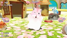 画像ギャラリー No.003のサムネイル画像 / Switch「じゃんがりあん物語」が本日発売。妖精から託されたハムスターを育成して“ハムマスター”を目指す育成シミュレーション
