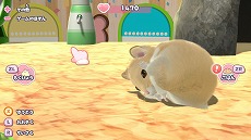 画像ギャラリー No.006のサムネイル画像 / Switch「じゃんがりあん物語」が本日発売。妖精から託されたハムスターを育成して“ハムマスター”を目指す育成シミュレーション