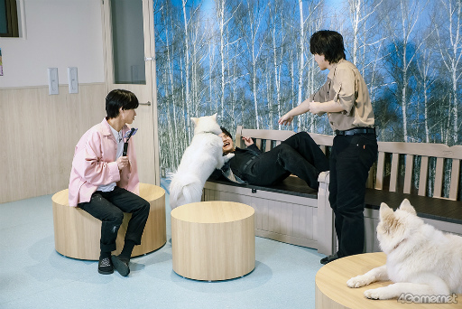 画像ギャラリー No.024のサムネイル画像 / 「MISSION:GO5」特別編! GOALOUS5のメンバーがキッチンやサモエドカフェで大奮闘!? 最新ドラマCD発売を記念して
