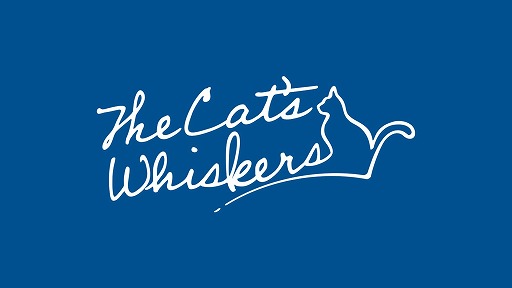 画像ギャラリー No.005のサムネイル画像 / アニマックス独占番組「Paradox Live Leaders Meeting in ANIMAX」が5月に放送&配信開始。各リーダーが集結し,プロジェクトのこれまでと今後を語る