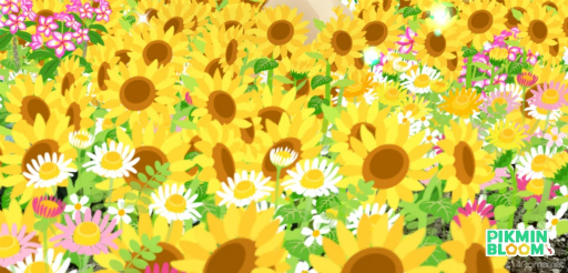 画像ギャラリー No.006のサムネイル画像 / ピクミンと横須賀市をひまわり畑に! 「Pikmin Bloom Tour 2023:横須賀」体験レポート。開発者にこだわりも聞いた