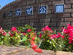 ピクミンと横須賀市をひまわり畑に！　「Pikmin Bloom Tour 2023:横須賀」体験レポート。開発者にこだわりも聞いた