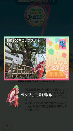 画像ギャラリー No.020のサムネイル画像 / 「Pikmin Bloom Journey 2024 : 東京ドームシティ」体験レポート。イベントに込めた想いを聞いたスタッフインタビューもお届け