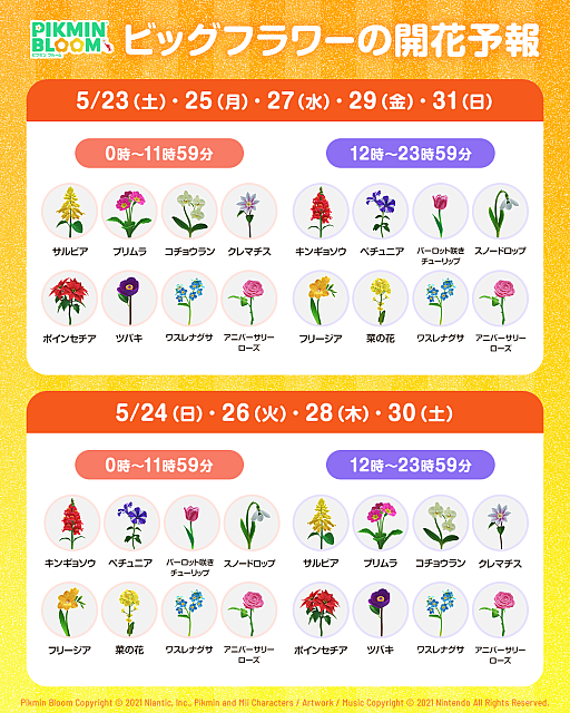 画像ギャラリー No.033のサムネイル画像 / 祝「Pikmin Bloom」4.5周年! 「ザ・スーパーマリオギャラクシー・ムービー」コラボで,ピクミンたちとの毎日がさらに楽しく