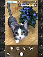 画像ギャラリー No.003のサムネイル画像 / 「with My CAT - 猫とくらそう -」が4月5日にリリース。スマホでペットとふれ合える育成シミュレーションゲーム