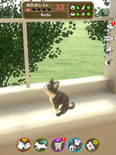 画像ギャラリー No.004のサムネイル画像 / 「with My CAT - 猫とくらそう -」が4月5日にリリース。スマホでペットとふれ合える育成シミュレーションゲーム