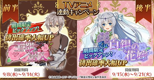 画像ギャラリー No.004のサムネイル画像 / 「精霊幻想記アナザーテイル」，TVアニメ連動キャンペーンが開催