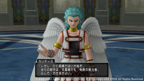 画像ギャラリー No.005のサムネイル画像 / 「ドラゴンクエストX　天星の英雄たち　オンライン」，第4の試練場と“ウェディ”の英雄・リナーシェの情報が本日公開