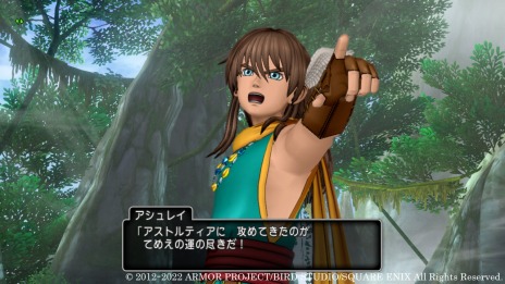 画像ギャラリー No.009のサムネイル画像 / 「ドラゴンクエストX　オンライン」の次期アップデート“バージョン6.2”の物語が明らかに。勇者“アシュレイ”と盟友“レオーネ”登場