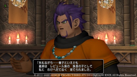 画像ギャラリー No.015のサムネイル画像 / 「ドラゴンクエストX　オンライン」の次期アップデート“バージョン6.2”の物語が明らかに。勇者“アシュレイ”と盟友“レオーネ”登場