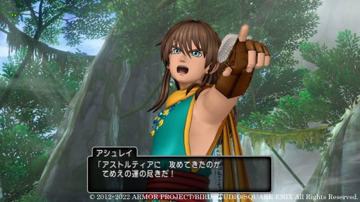 画像ギャラリー No.017のサムネイル画像 / 「ドラゴンクエストX　オンライン」の次期アップデート“バージョン6.2”の物語が明らかに。勇者“アシュレイ”と盟友“レオーネ”登場