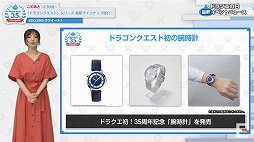 画像ギャラリー No.031のサムネイル画像 / 「ドラゴンクエスト」35周年特番をレポート。「ドラゴンクエストXII」を含む新作6タイトルや,展開中のタイトルの最新イベント情報が発表に