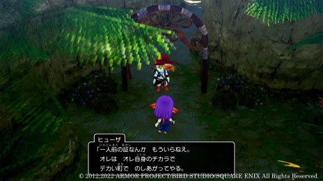画像ギャラリー No.019のサムネイル画像 / 「ドラゴンクエストX　目覚めし五つの種族　オフライン」水の民ウェディが統治する“ウェナ諸島”の情報が公開。ヴェリナード王国の住人達も