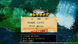 画像ギャラリー No.002のサムネイル画像 / 「ドラゴンクエストX　目覚めし五つの種族　オフライン」，冒険の合間に楽しめるミニゲームと，便利な乗り物“ドルボード”の情報が公開に