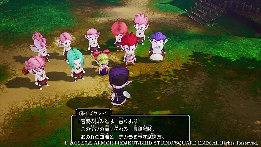 画像ギャラリー No.019のサムネイル画像 / 「ドラゴンクエストX 目覚めし五つの種族 オフライン」本日発売。物語や転生後に主人公が歩む種族ごとの旅立ちのエピソードを紹介