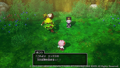画像ギャラリー No.021のサムネイル画像 / 「ドラゴンクエストX 目覚めし五つの種族 オフライン」本日発売。物語や転生後に主人公が歩む種族ごとの旅立ちのエピソードを紹介