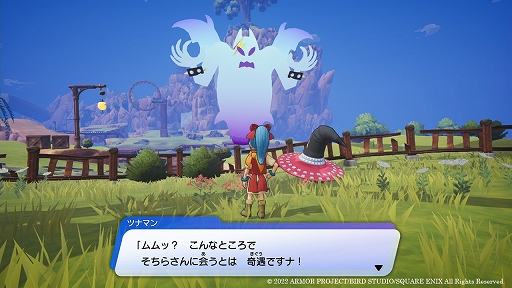 画像ギャラリー No.013のサムネイル画像 / 「ドラゴンクエスト トレジャーズ　蒼き瞳と大空の羅針盤」，カミュとマヤのお宝を狙うライバル団，ギンギーラ空賊団とシルフ探検隊を紹介