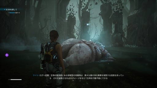 画像ギャラリー No.012のサムネイル画像 / ［プレイレポ］「Scars Above」はソウルライクなトライ＆エラーをコンパクトに楽しめるTPS。色を使って対処法を示す手法も秀逸