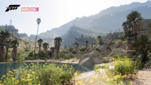 画像ギャラリー No.007のサムネイル画像 / メキシコの大自然を駆け抜ける「Forza Horizon 5」レビュー。PC版はウルトラワイド対応で満足度高し
