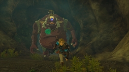 画像ギャラリー No.025のサムネイル画像 / 「ゼルダの伝説 ティアーズ オブ ザ キングダム」の最新映像公開。Collector’s Editionと,リンクのamiiboも発売決定