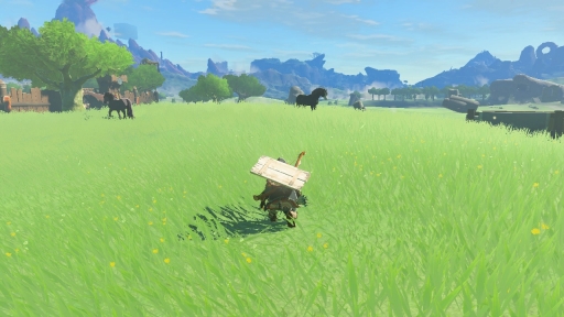 画像ギャラリー No.008のサムネイル画像 / ハイラルの歩き方――「ゼルダの伝説 ティアーズ オブ ザ キングダム」で最初に何をしたら分からないときのための冒険ガイド