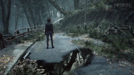画像ギャラリー No.018のサムネイル画像 / PS5版「The Medium -霊-」の最新トレイラーが公開。山岡 晃氏＆アルカディウス・レイコウスキー氏が楽曲を手がける