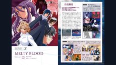画像ギャラリー No.006のサムネイル画像 / PC/Switch版「MELTY BLOOD: TYPE LUMINA」のセールが開催中。デジタル通常版とデジタル限定版が40％OFFで購入できる